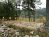 [2006 р.] Воєнний цвинтар № 62