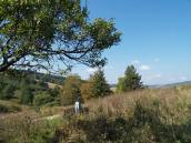 [2006 р.] Вигляд 1