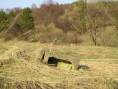 [2006 р.] Каплиця 3