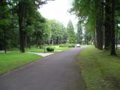 [2006 р.] Алея в парку