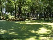 [2006 р.] Ставок у парку