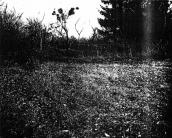 Вигляд культурного шару городища. Вид…