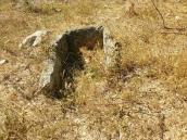 2009 р. Могила (?), викладена…