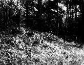 Загальний вигляд