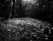 Фрагмент валу