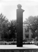 Вигляд ззаду