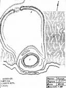 Давньоруське городище