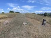 Курган № 3099