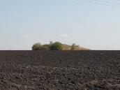 Курганный могильник