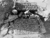 Меморіальні дошки біля дерева