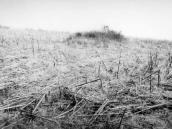 Фото загального вигляду