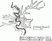 План розташування