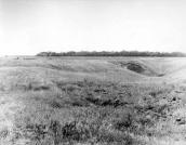 Загальний вигляд