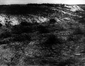 Загальний вигляд