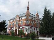 2010 р. Загальний вигляд