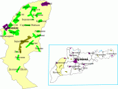 Вижницький район