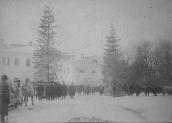 1887 р. Перевезення кедрів з маєтку…