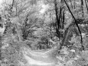 984 р. Опори паркового містка