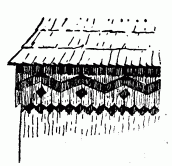 Деталь з Вигнанки