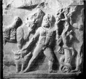 Загальний вигляд