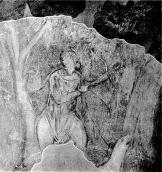 Полювання на білку