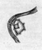 Сер. 17 ст. План міста