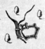 Сер. 17 ст. План міста