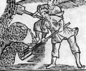 Віяння збіжжя