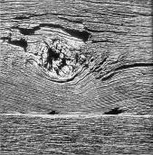 [1970 р.] Фактура клоди зрубу