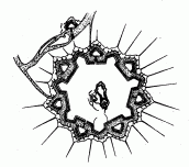 План Мукачевского замка конца XVII —…