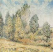 Білокур К.В. Гай