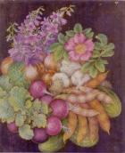 Білокур К.В. Квіти і овочі