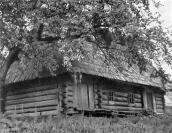 [1976 р.] Хата. Загальний вигляд