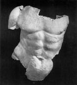 Торс Геракла