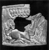 Загальний вигляд