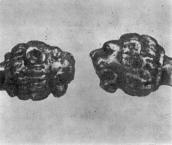 Голови левів