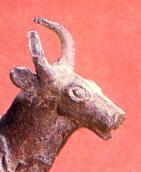 Голова бика