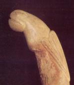 Голова коня