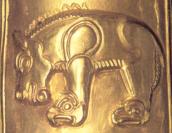 Невідома тварина