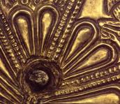 Пелюстки розетки (22)