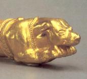 Голова собаки