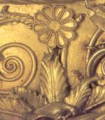 Розетка і птах