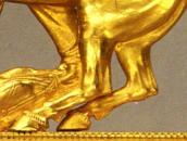 Задні ноги коня