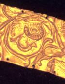 Середня частина