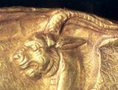 Голова грифона