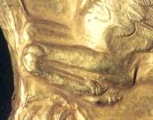 Передні лапи