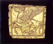 Прямокутна пластина: Пегас