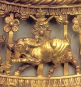 Гірський козел (9)