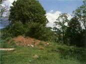 Церква Вознесіння