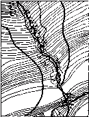 Сер. 19 ст. Кадастральна карта